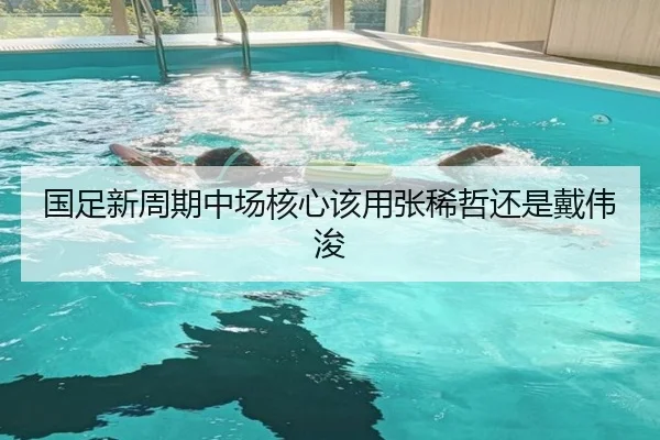 国足新周期中场核心该用张稀哲还是戴伟浚