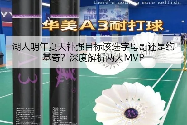 湖人明年夏天补强目标该选字母哥还是约基奇？深度解析两大MVP