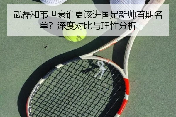 武磊和韦世豪谁更该进国足新帅首期名单？深度对比与理性分析